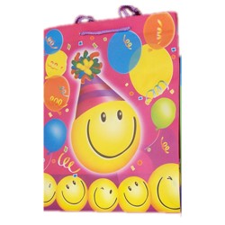 Birthday gift bags-large 