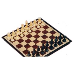 Chess set with magnet box