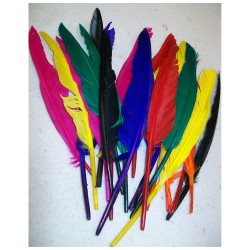 Large feathers 