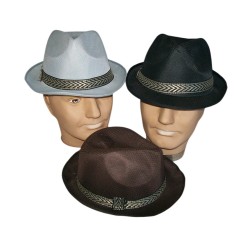 Modern trilby hat 
