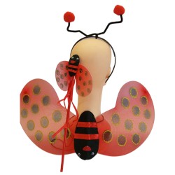 Ladybug dress up set      