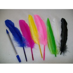 COLOURFUL FEATHERS IN BAG