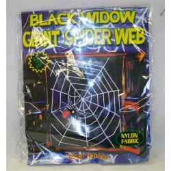 GIANT BLACK WIDOW SPIDER AND WEB