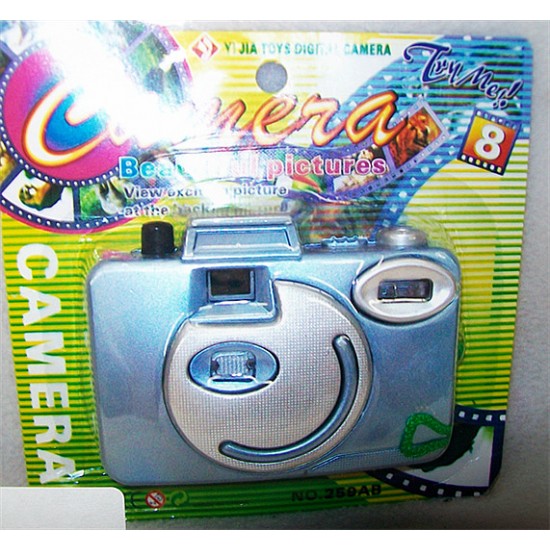 Toy camera  
